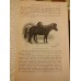 Урусов С. П. Книга о лошади. 1911-1912 г.